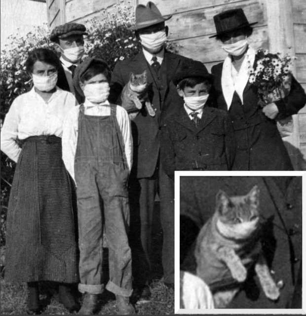 Навіть кіт у масці! У мережі показали фото карантину під час “іспанки” 100 років тому
