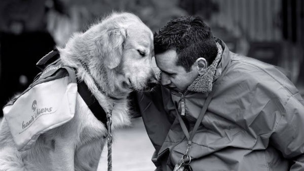 До сліз… Від ніжного моменту прощання коханого собаки з вmиRаючим молодим господарем здригнувся весь світ (ФОТО)