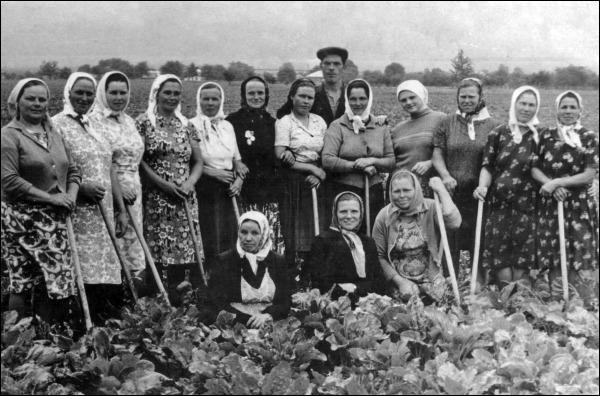 Україна, 1960 рік.. Ось як виглядала ланка (ланкові) на збиранні цукрових буряків. Все робилось вручну…